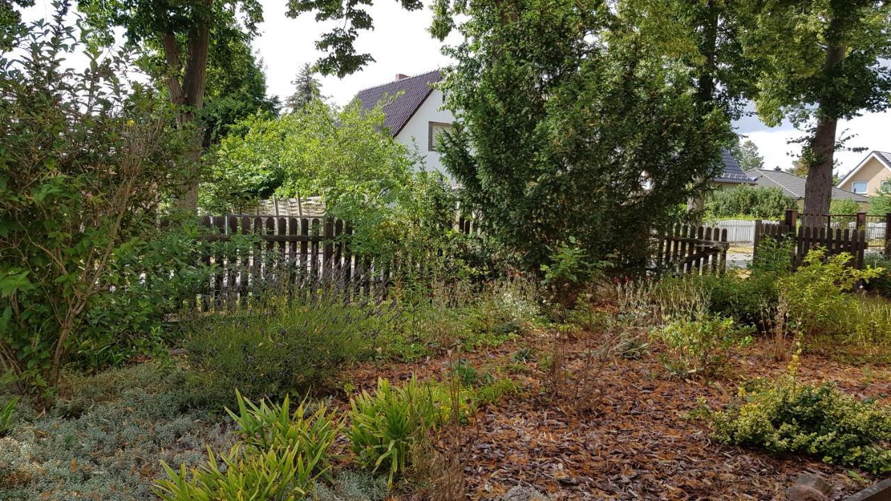 Gruene Oase Apartment Dahlewitz  Luaran gambar